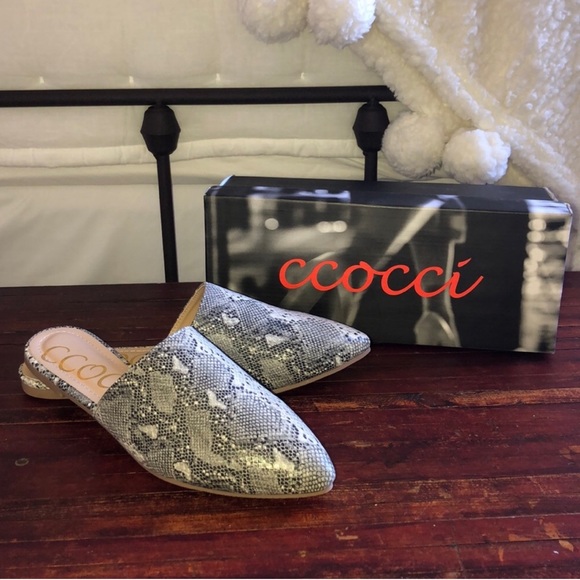 ccocci shoes mules